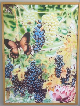 Grapes and Butterfly