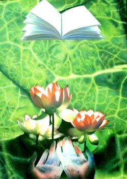 Lotus Flower and the Book